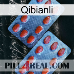 Qibianli 05